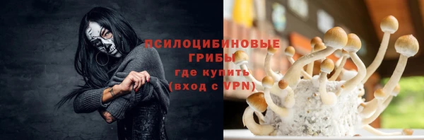 ПСИЛОЦИБИНОВЫЕ ГРИБЫ Кострома