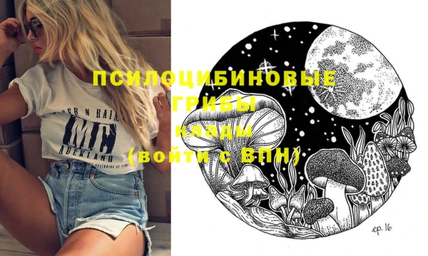 стафф Мурманск