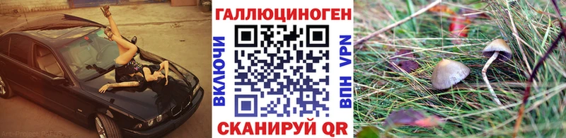 Галлюциногенные грибы мицелий  Ветлуга 